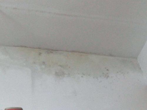 低樓層房屋墻壁出現(xiàn)返潮現(xiàn)象，有哪些解決辦法?